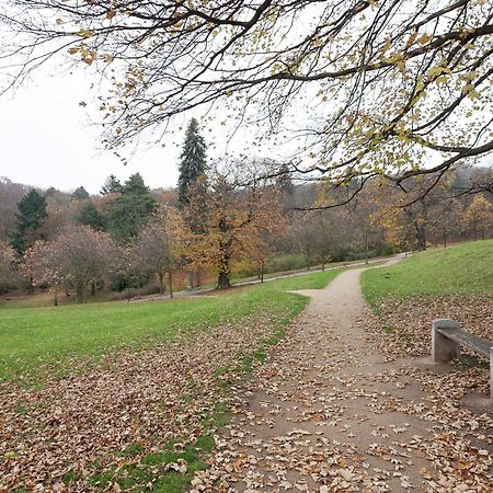 Beautiful Apartment In D Rnthal Near The Forest Voigtsdorf Eksteriør bilde